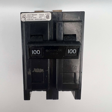 Eaton BAB2100 - 100 Amp Bolt-On Circuit Breaker