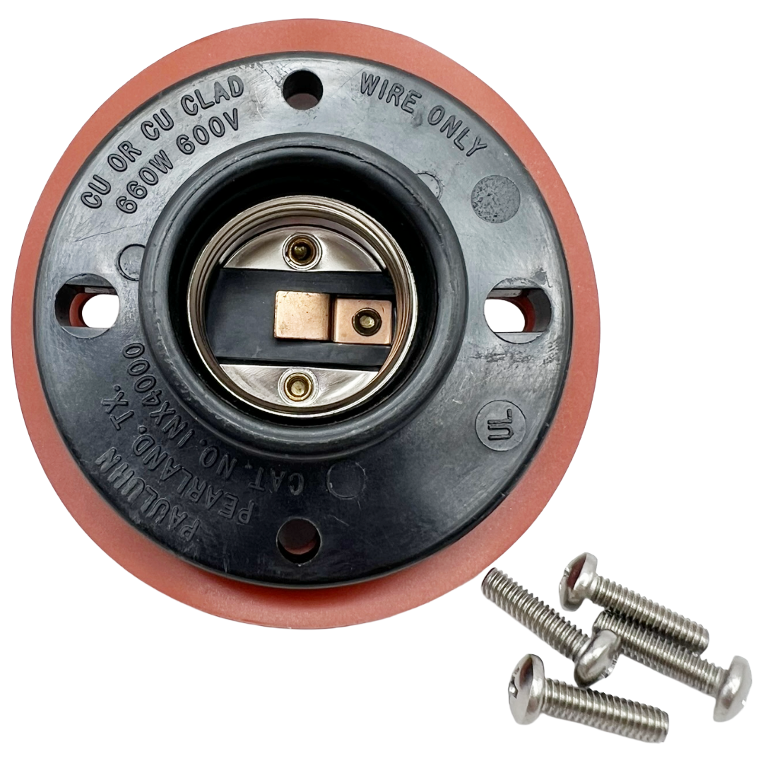 Electrical socket with screws on a white background