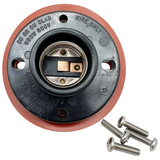 Electrical socket with screws on a white background