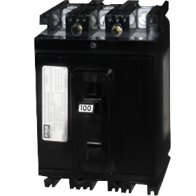 FPE NE 100 Amp, 2 Pole Type AB Breaker